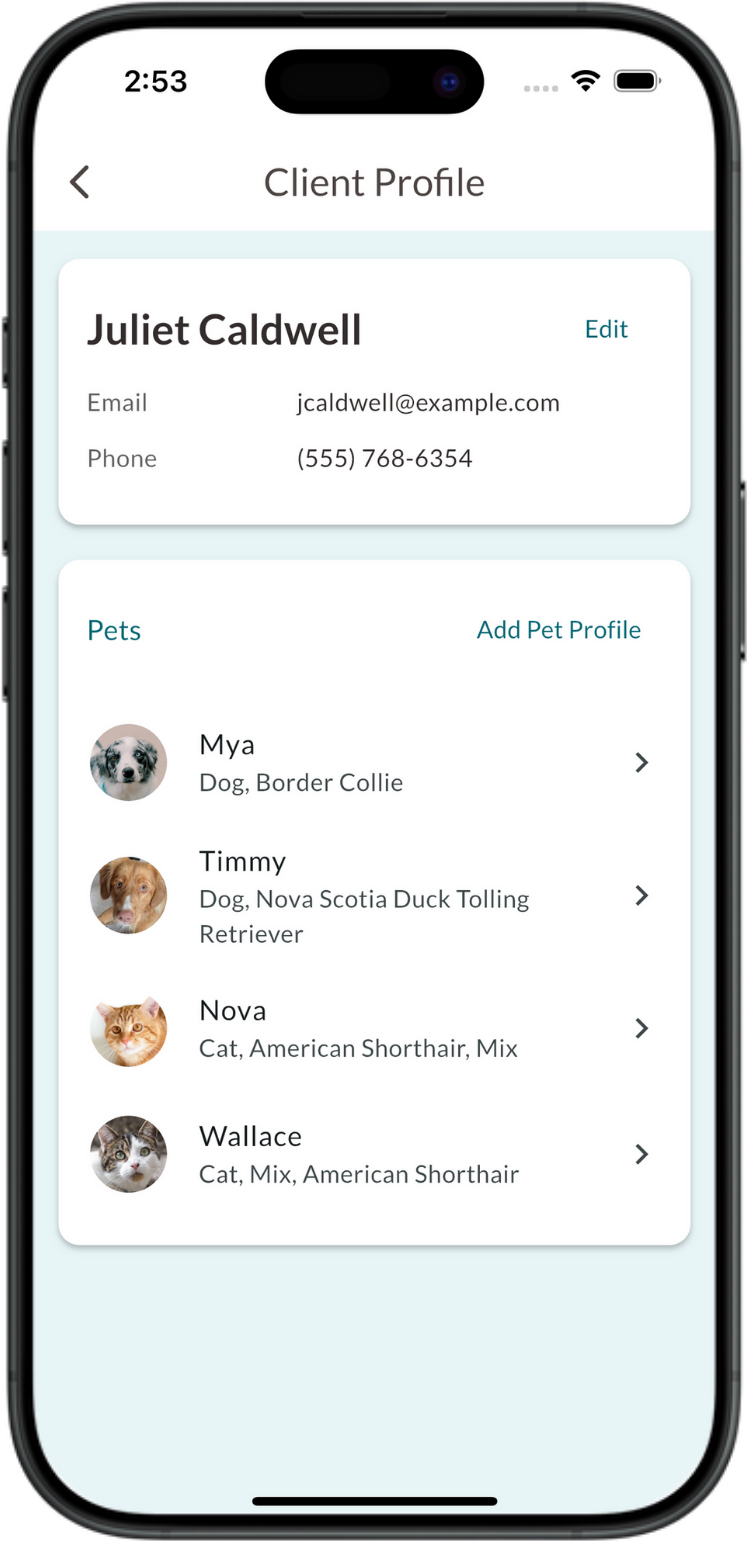 Client Profile Screenshot